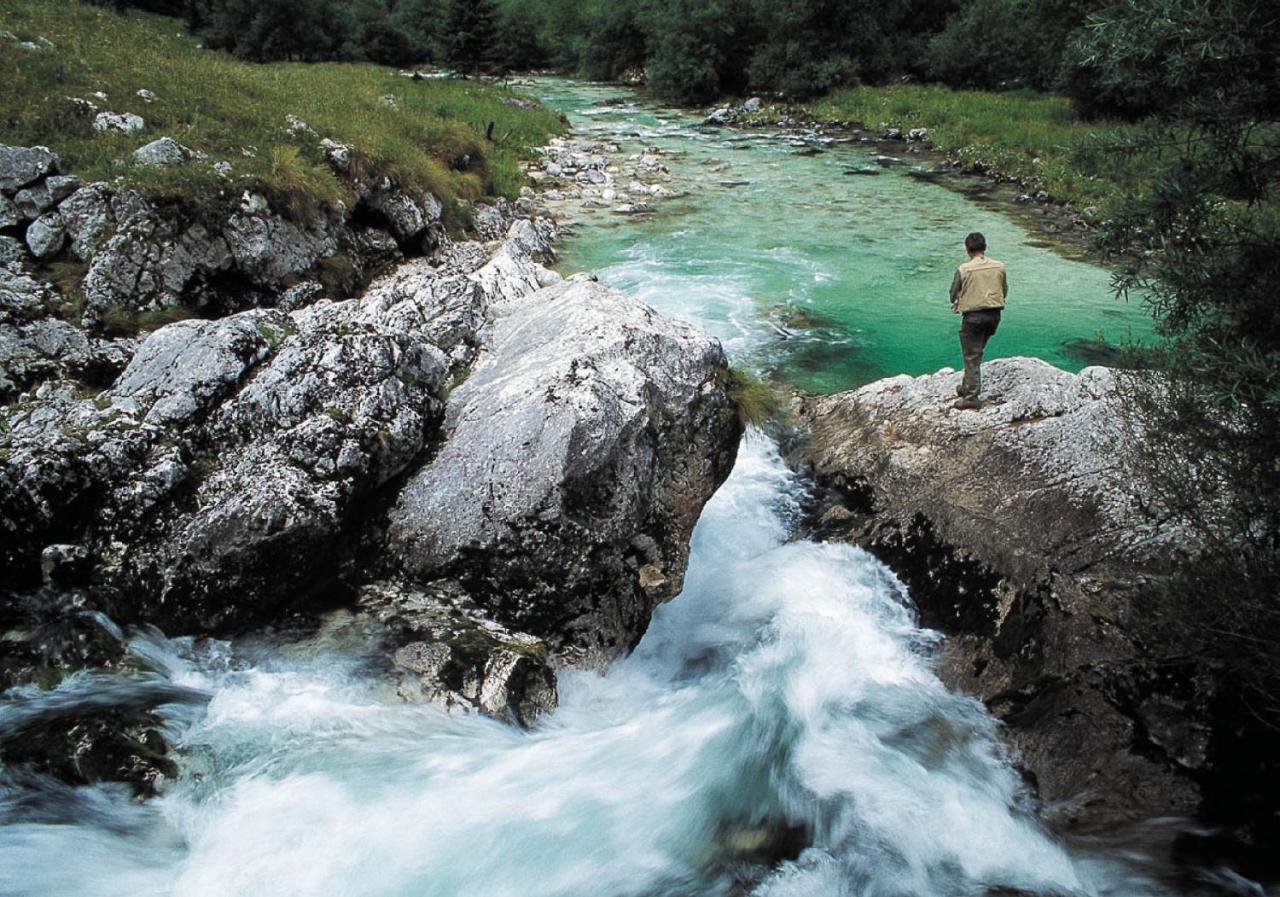 Kronau Chalet Resort Kranjska Gora Eksteriør bilde