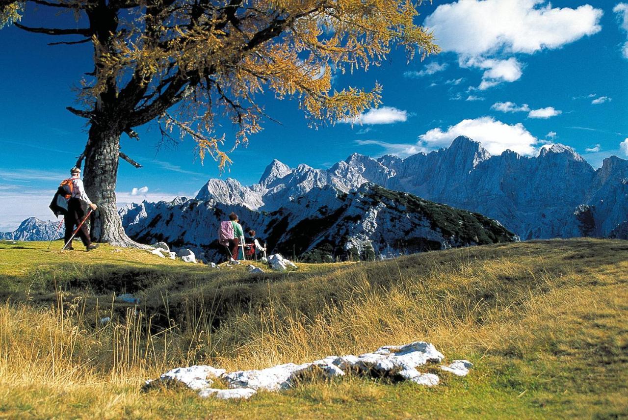 Kronau Chalet Resort Kranjska Gora Eksteriør bilde